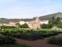 Lagrasse - Abbaye - Jardin